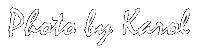 Custom Image